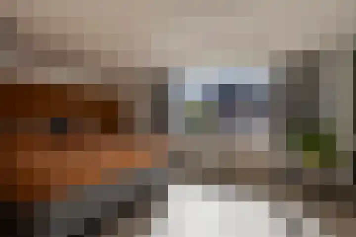 Vliet Zuidzijde 34 Rijnsburg thumbnail 14