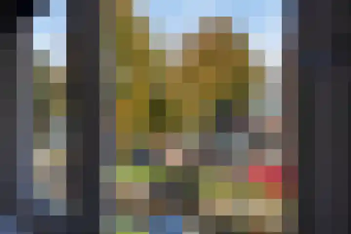 Vliet Zuidzijde 34 Rijnsburg thumbnail 21