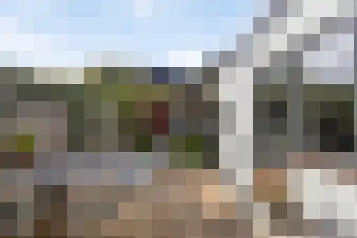 Vliet Zuidzijde 34 Rijnsburg thumbnail 22
