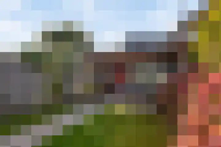 Vliet Zuidzijde 34 Rijnsburg thumbnail 24