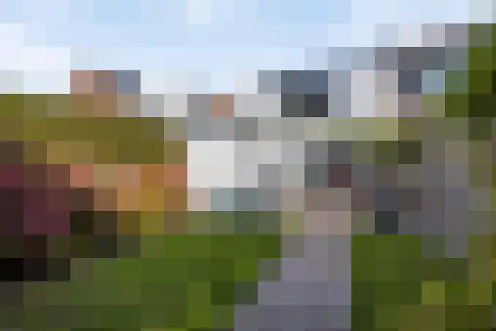 Vliet Zuidzijde 34 Rijnsburg thumbnail 28