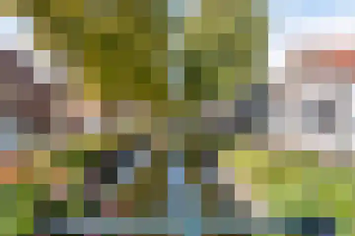 Vliet Zuidzijde 34 Rijnsburg thumbnail 29