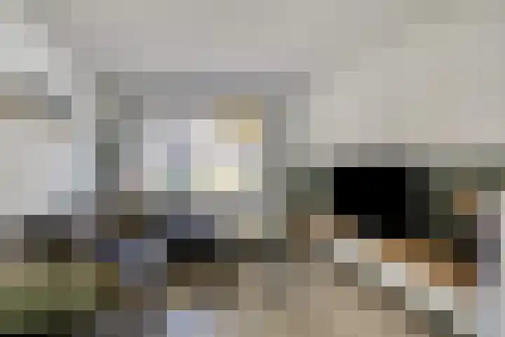 Vliet Zuidzijde 34 Rijnsburg thumbnail 5