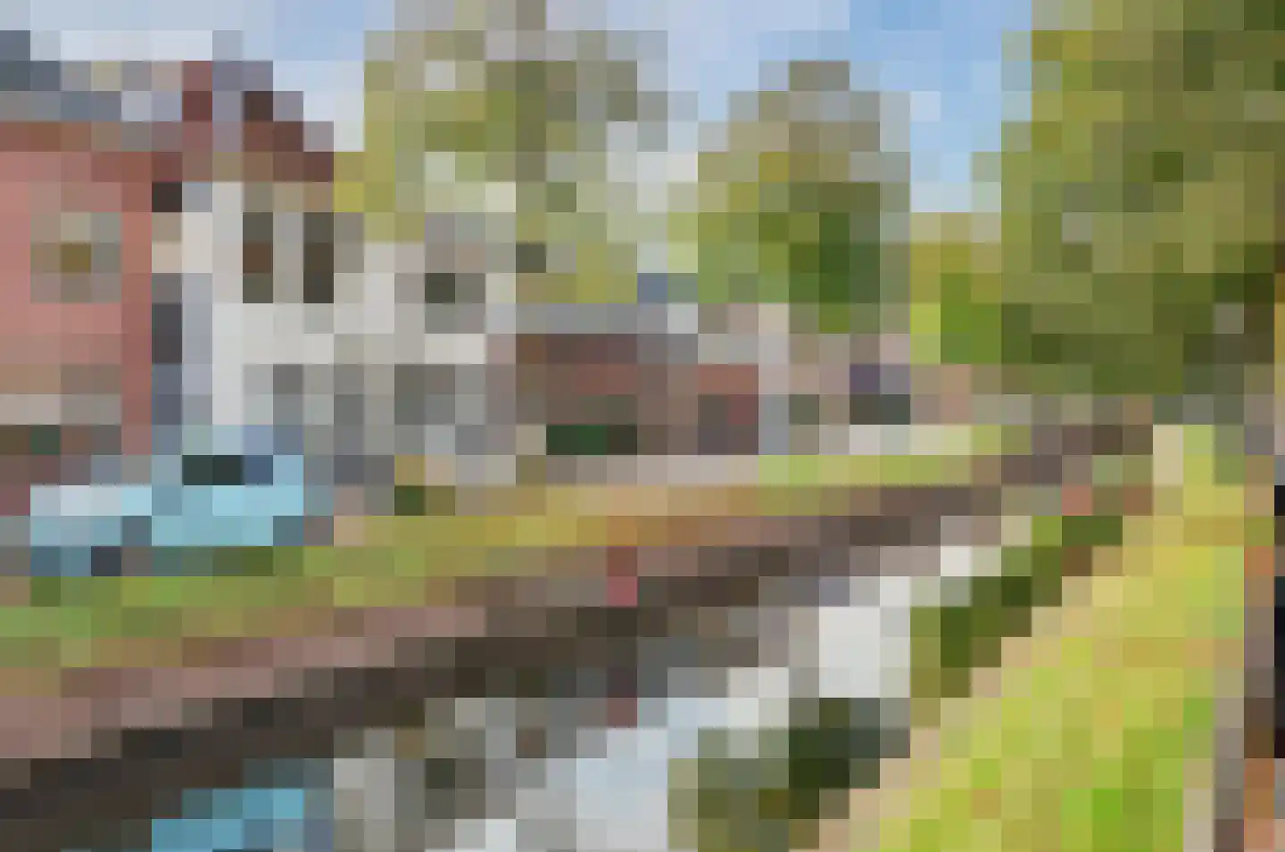 Vliet Zuidzijde 36 Rijnsburg thumbnail 10