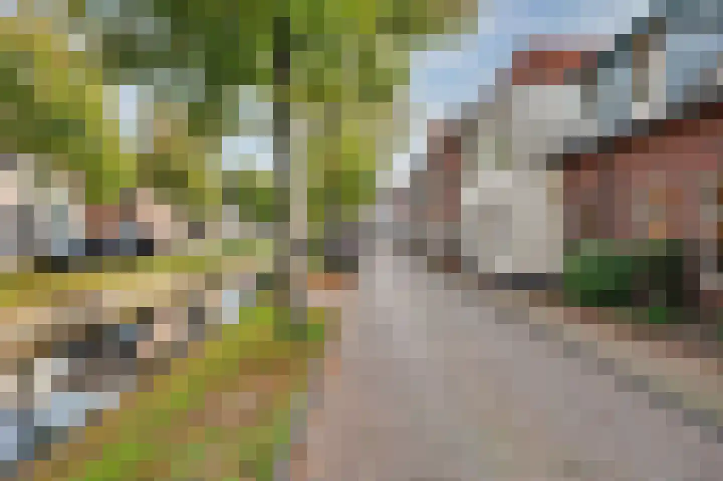 Vliet Zuidzijde 36 Rijnsburg thumbnail 11