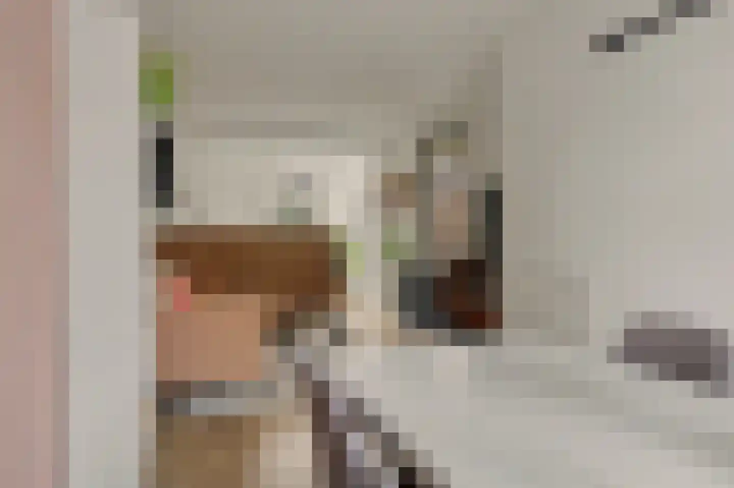 Vliet Zuidzijde 36 Rijnsburg thumbnail 19