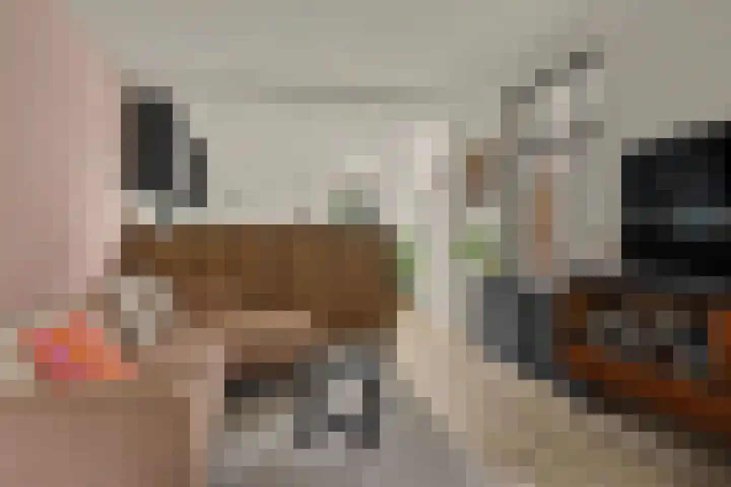 Vliet Zuidzijde 36 Rijnsburg thumbnail 21