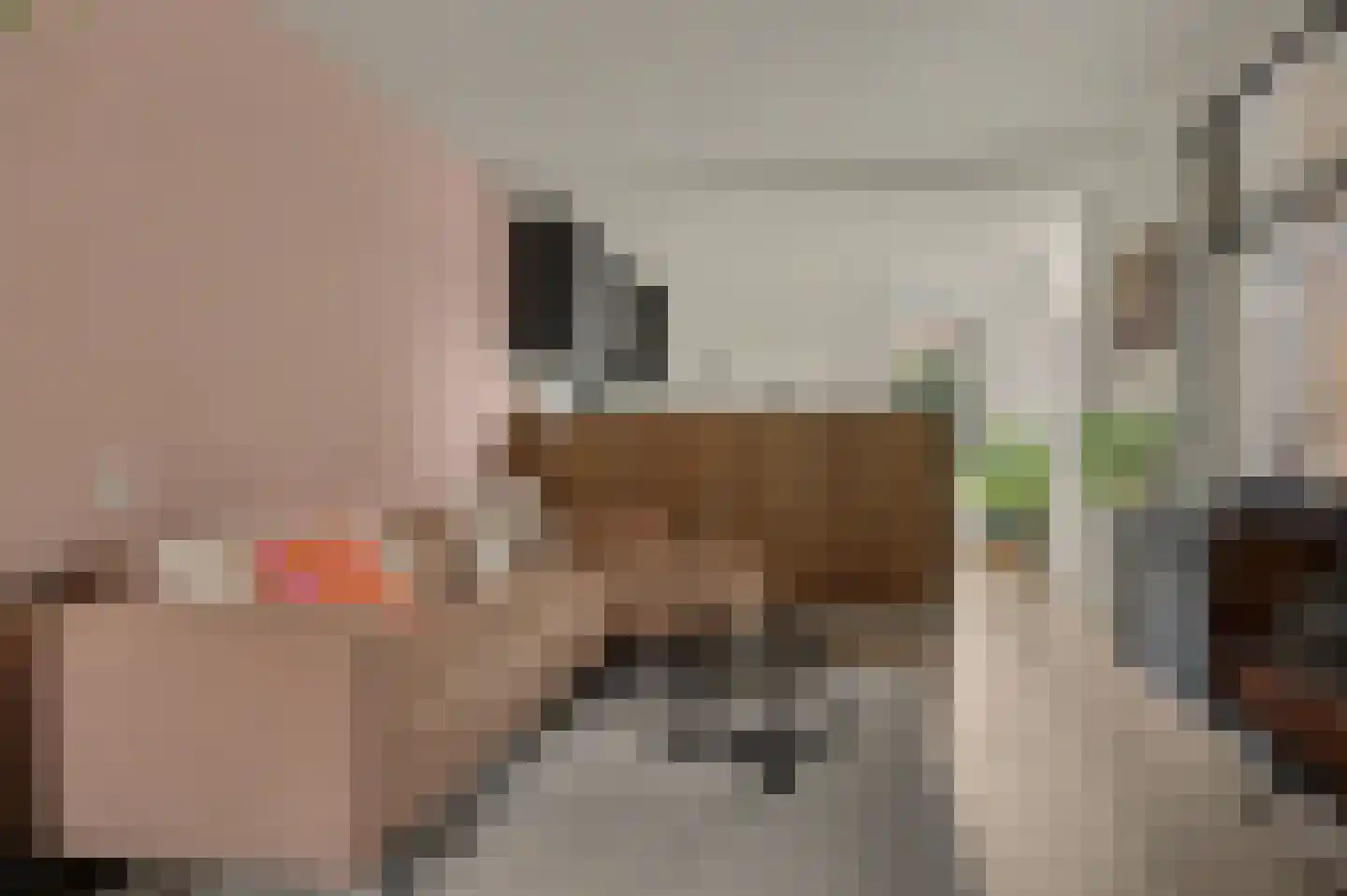 Vliet Zuidzijde 36 Rijnsburg thumbnail 22