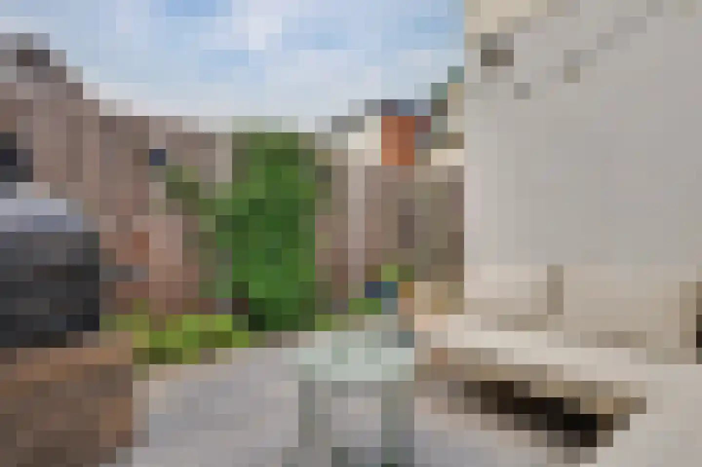Vliet Zuidzijde 36 Rijnsburg thumbnail 47