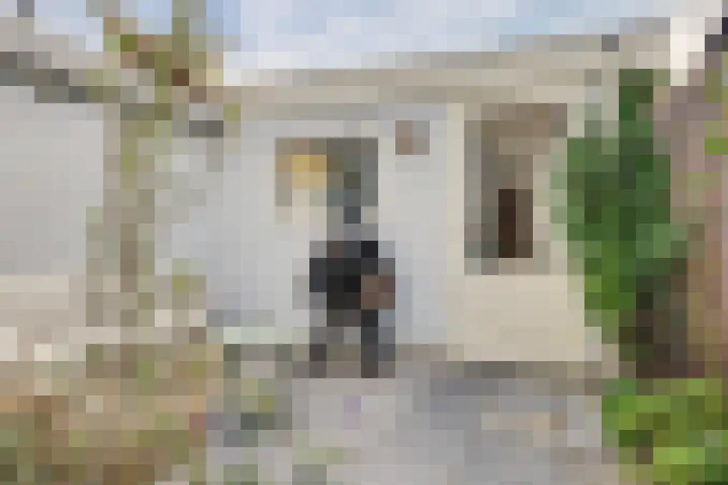 Vliet Zuidzijde 36 Rijnsburg thumbnail 7