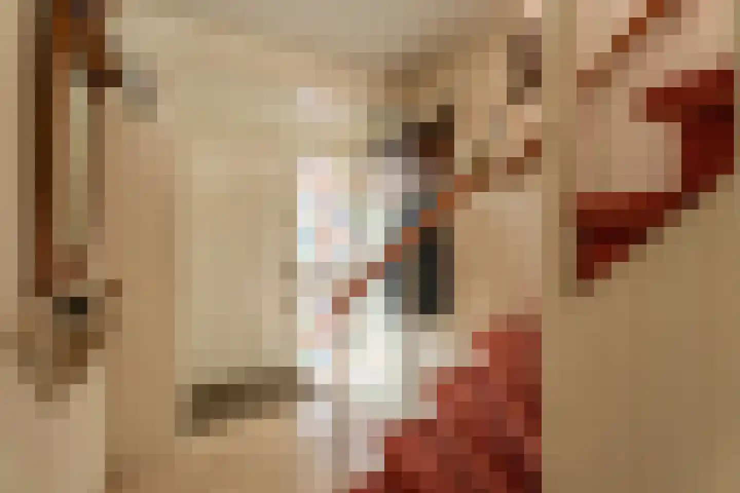 Vliet Zuidzijde 9 Rijnsburg thumbnail 10