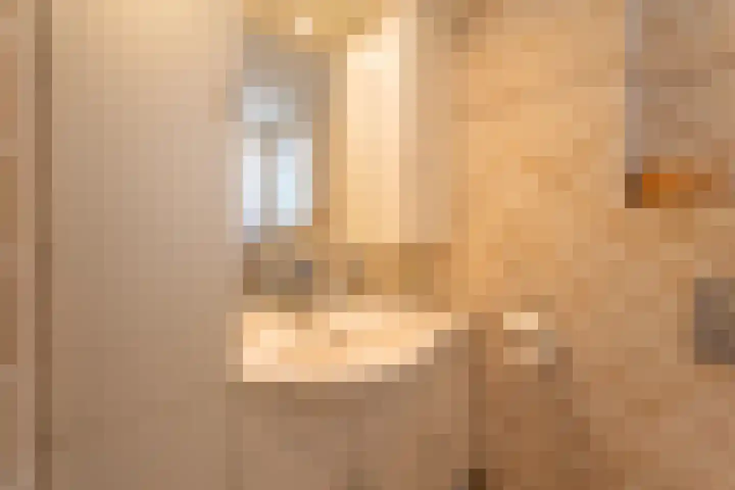 Vliet Zuidzijde 9 Rijnsburg thumbnail 20