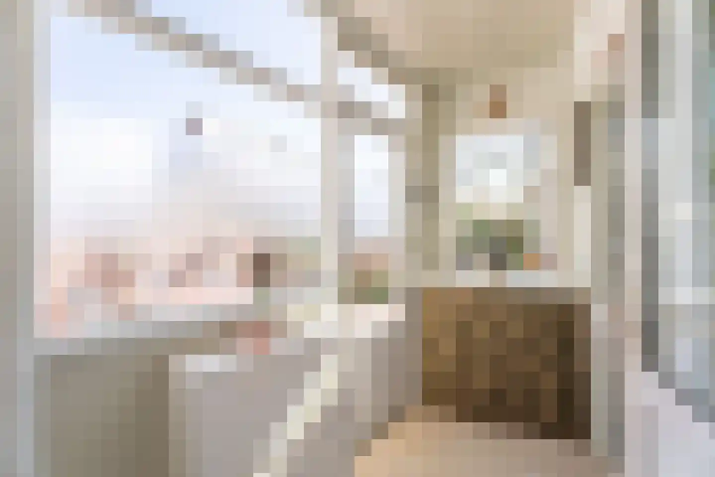 Vliet Zuidzijde 9 Rijnsburg thumbnail 25
