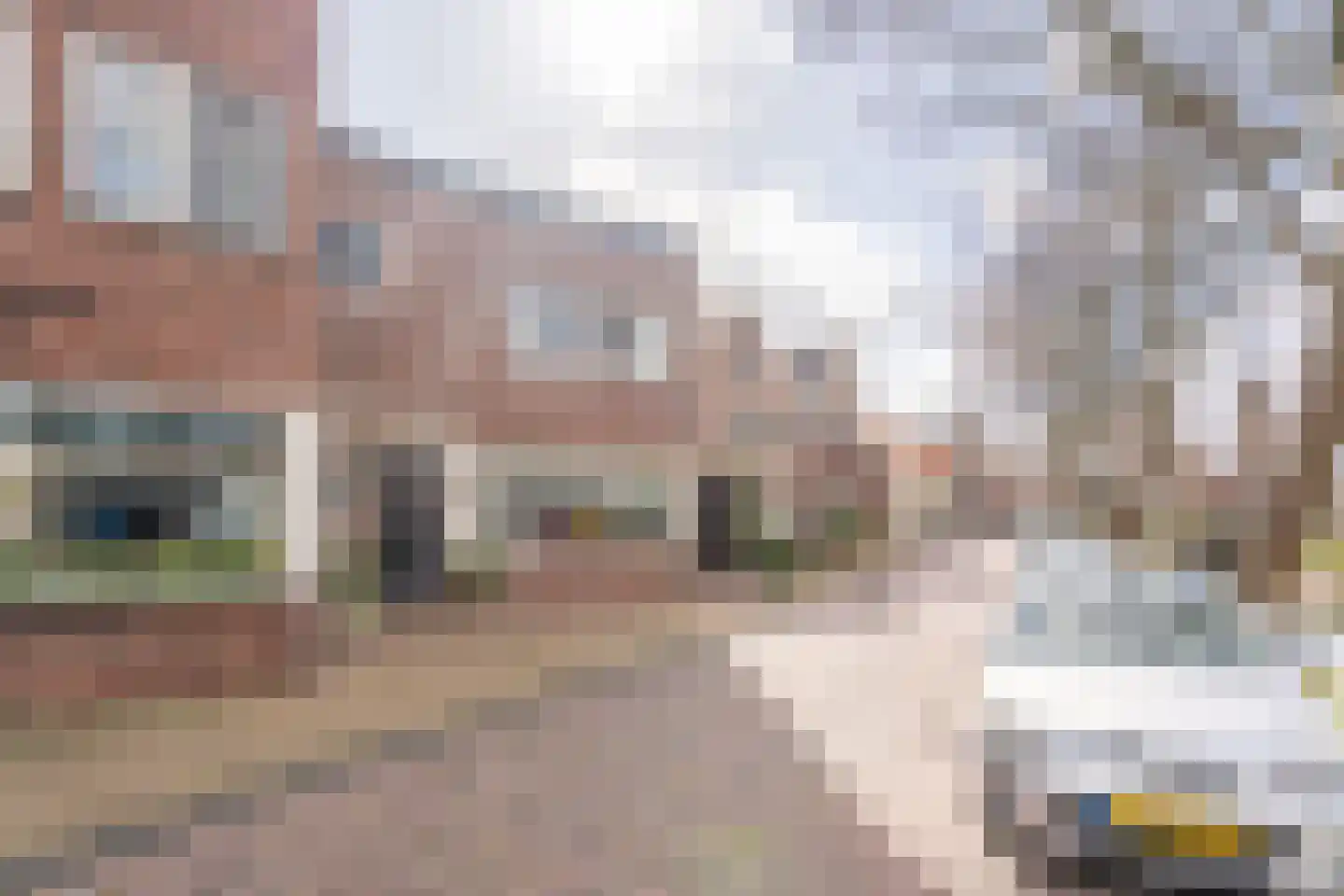 Vliet Zuidzijde 9 Rijnsburg thumbnail 30