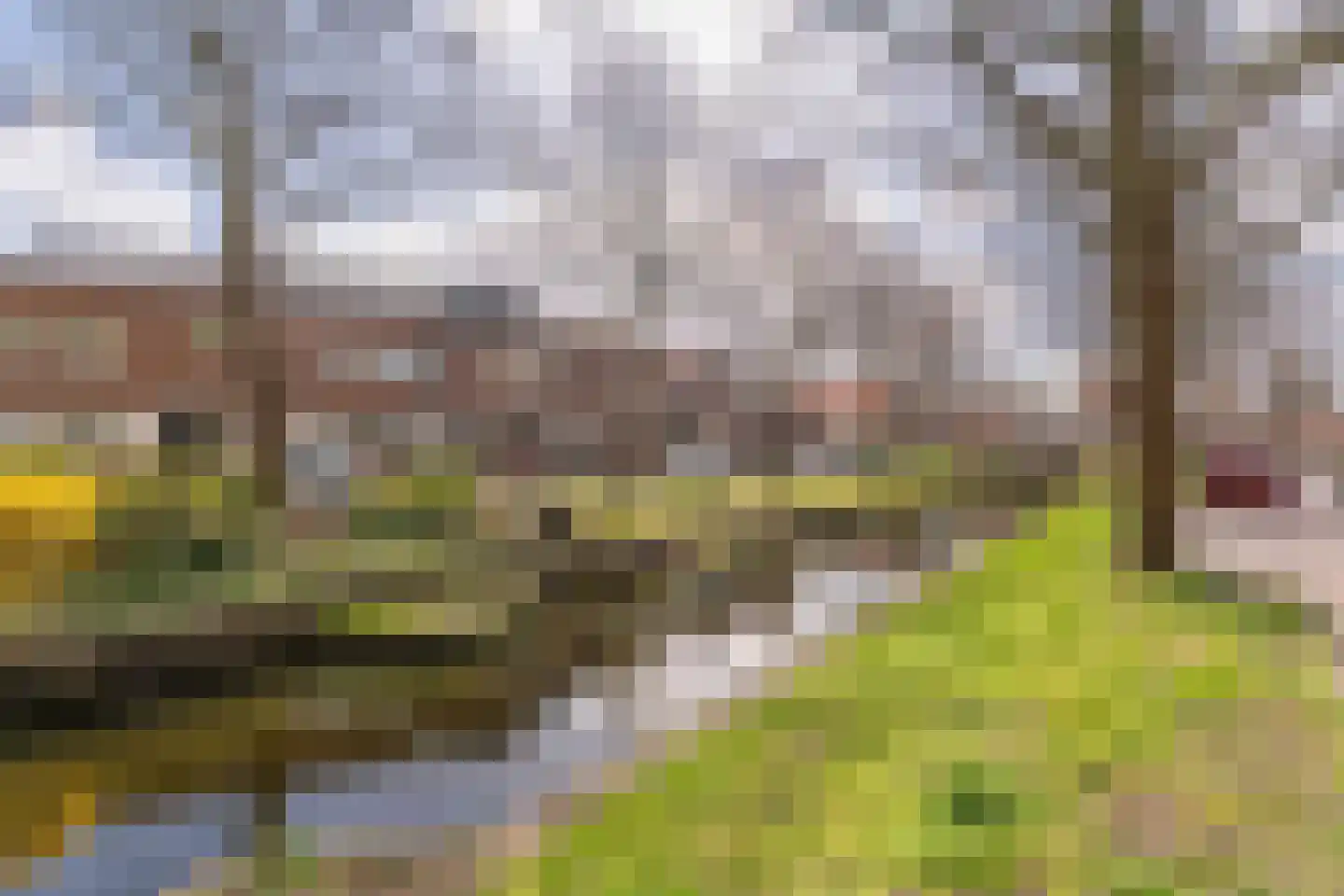 Vliet Zuidzijde 9 Rijnsburg thumbnail 31