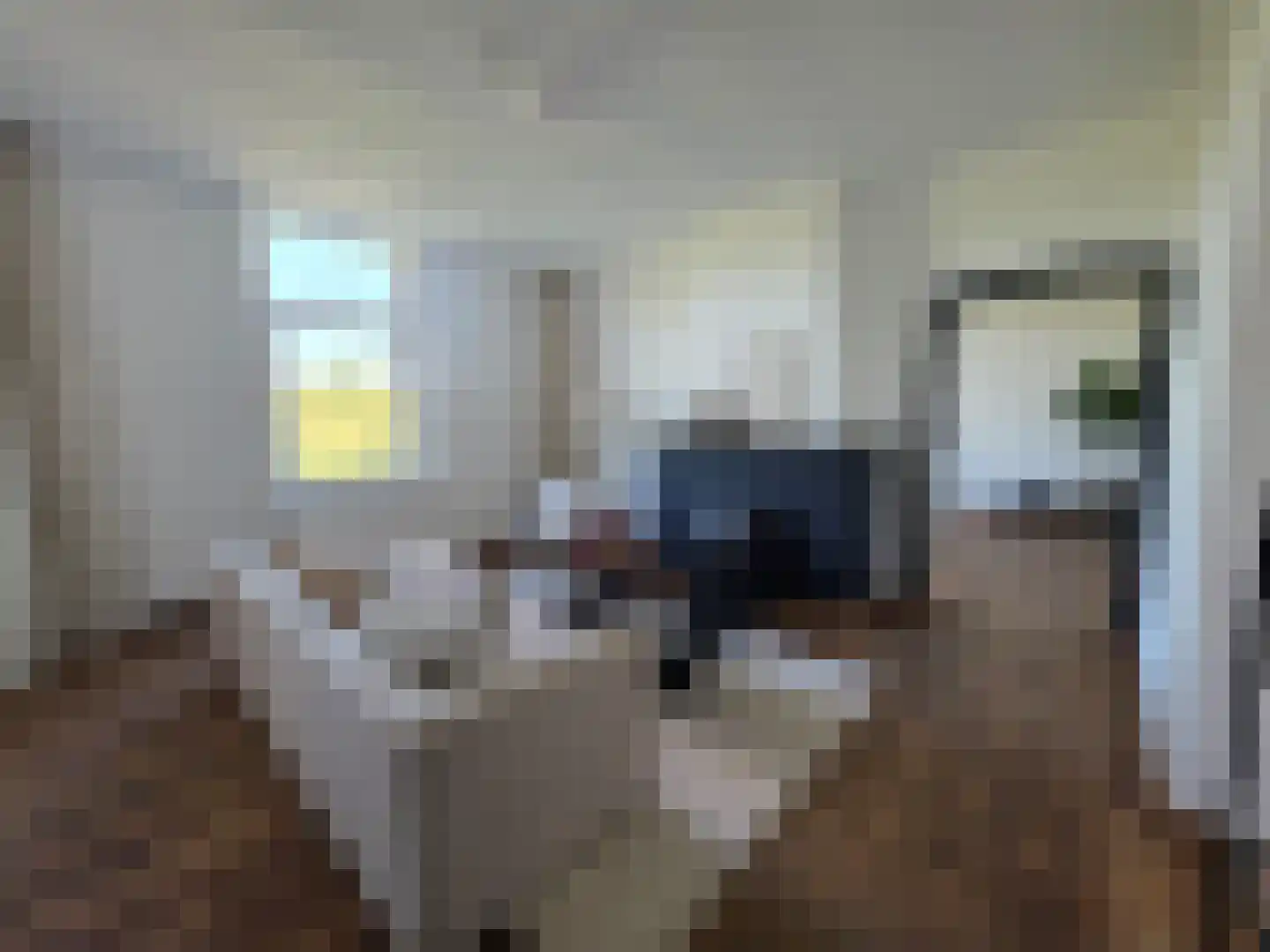 Vlietberg 6 Ooij thumbnail 10