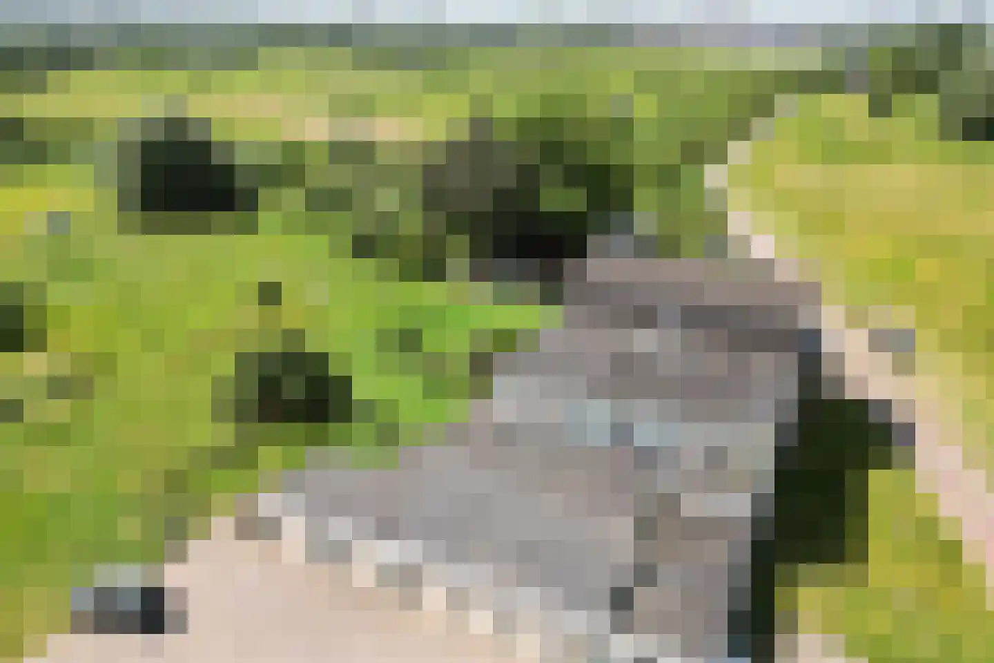Vlietberg 6 Ooij thumbnail 47