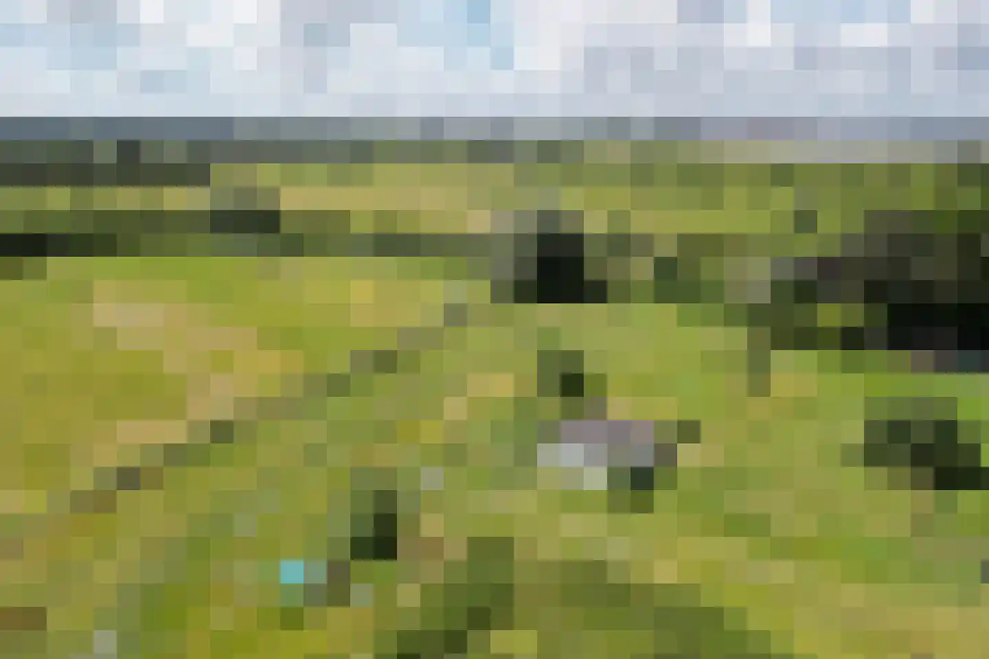 Vlietberg 6 Ooij thumbnail 49