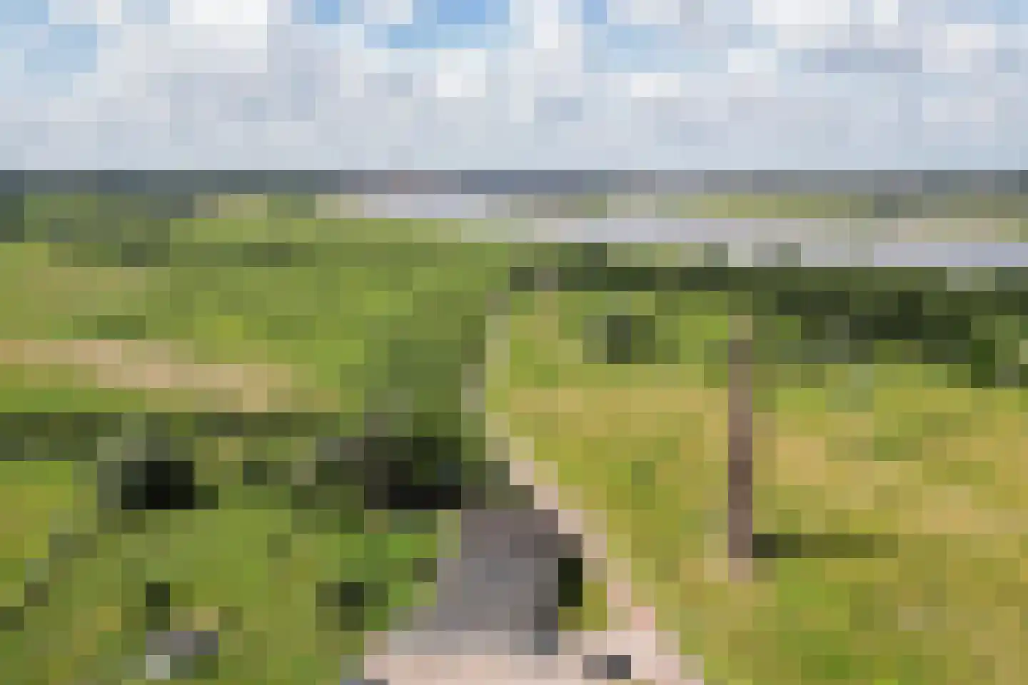 Vlietberg 6 Ooij thumbnail 53