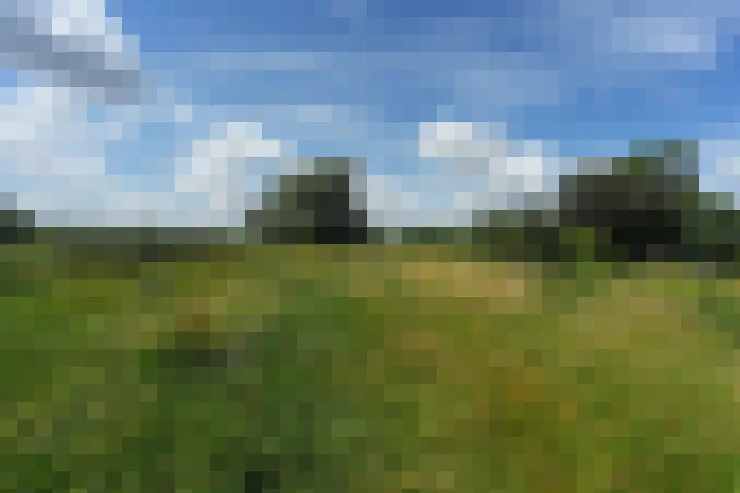 Vlietberg 6 Ooij thumbnail 60