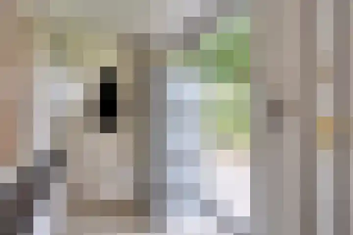 Vlietberg 7 Ooij thumbnail 18
