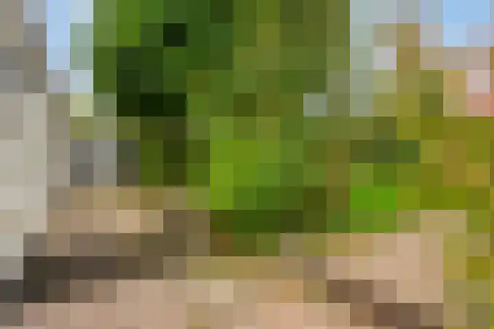 Vlietberg 7 Ooij thumbnail 20