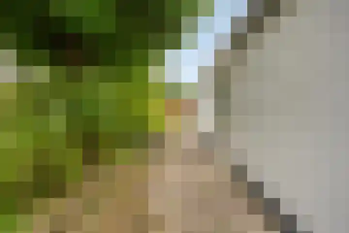 Vlietberg 7 Ooij thumbnail 21