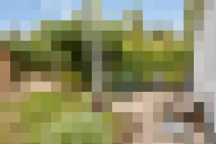 Vlietberg 7 Ooij thumbnail 22