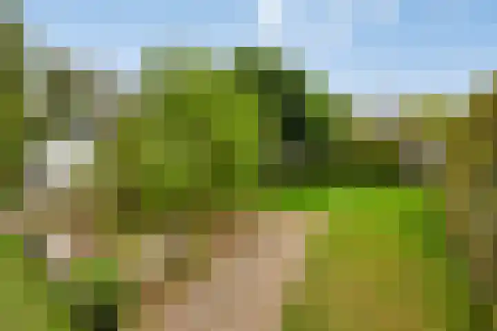 Vlietberg 7 Ooij thumbnail 24