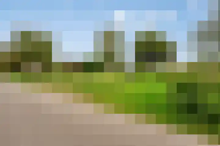 Vlietberg 7 Ooij thumbnail 27