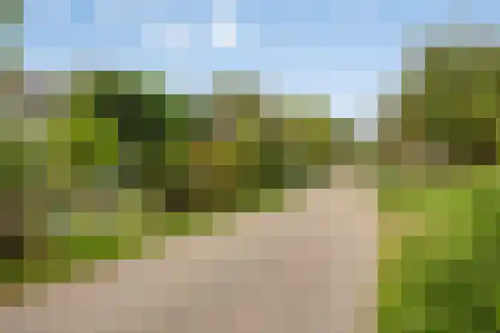 Vlietberg 7 Ooij thumbnail 28