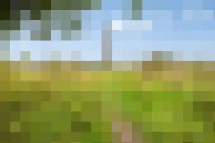Vlietberg 7 Ooij thumbnail 29