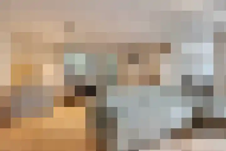 Vlietberg 7 Ooij thumbnail 5