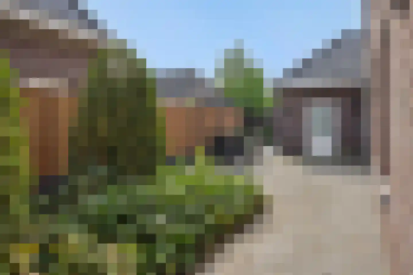 Vlietdijk 1 B Rosmalen thumbnail 18