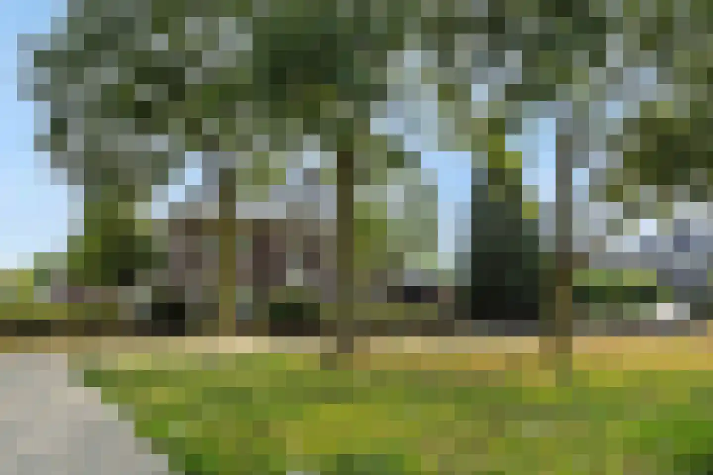 Vlietdijk 1 B Rosmalen thumbnail 40