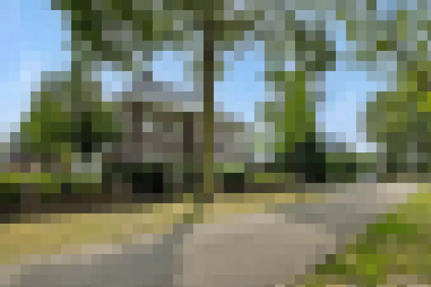 Vlietdijk 1 B Rosmalen thumbnail 41