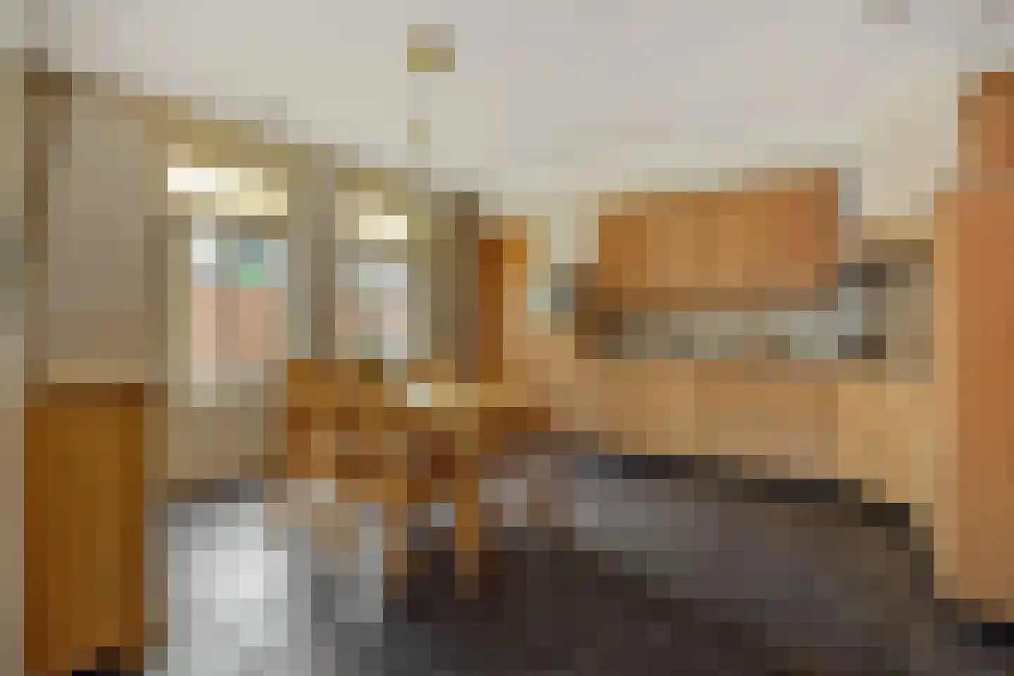 Vlietdijk 1 B Rosmalen thumbnail 9