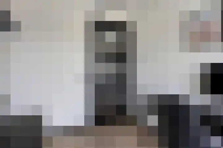 Vlietdijk 182 Rosmalen thumbnail 18