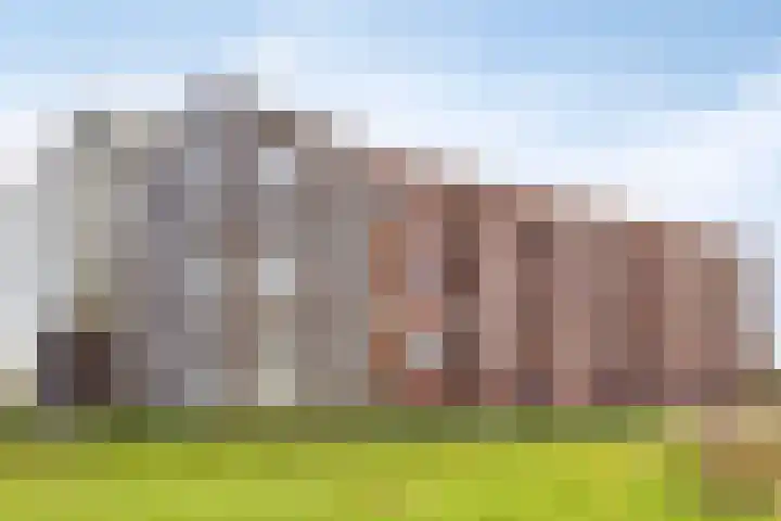 Vlietdijk 182 Rosmalen thumbnail 27