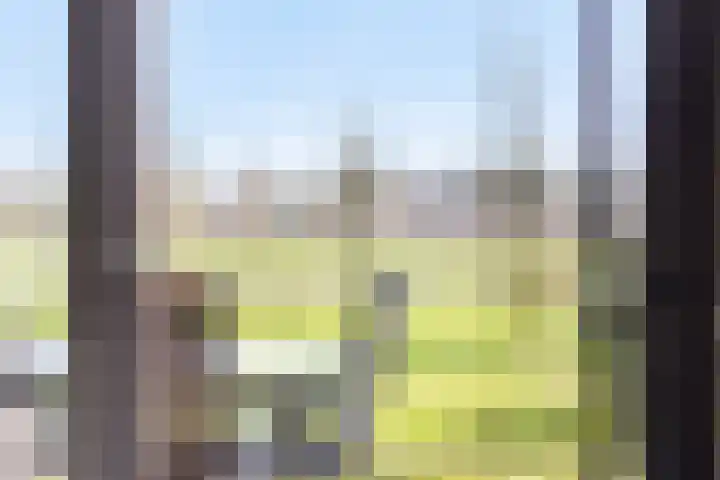 Vlietdijk 24 Rosmalen thumbnail 11
