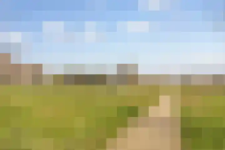 Vlietdijk 24 Rosmalen thumbnail 19