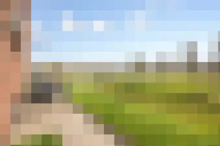 Vlietdijk 24 Rosmalen thumbnail 20