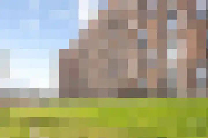 Vlietdijk 24 Rosmalen thumbnail 22