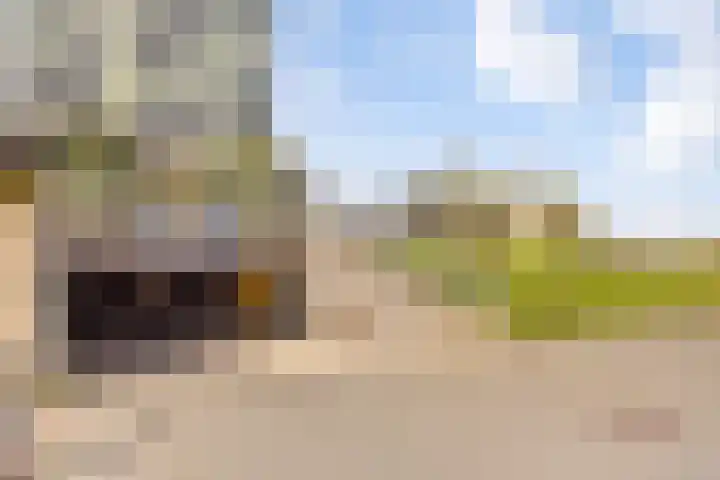 Vlietdijk 24 Rosmalen thumbnail 23
