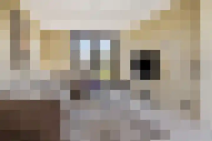 Vlietdijk 24 Rosmalen thumbnail 7