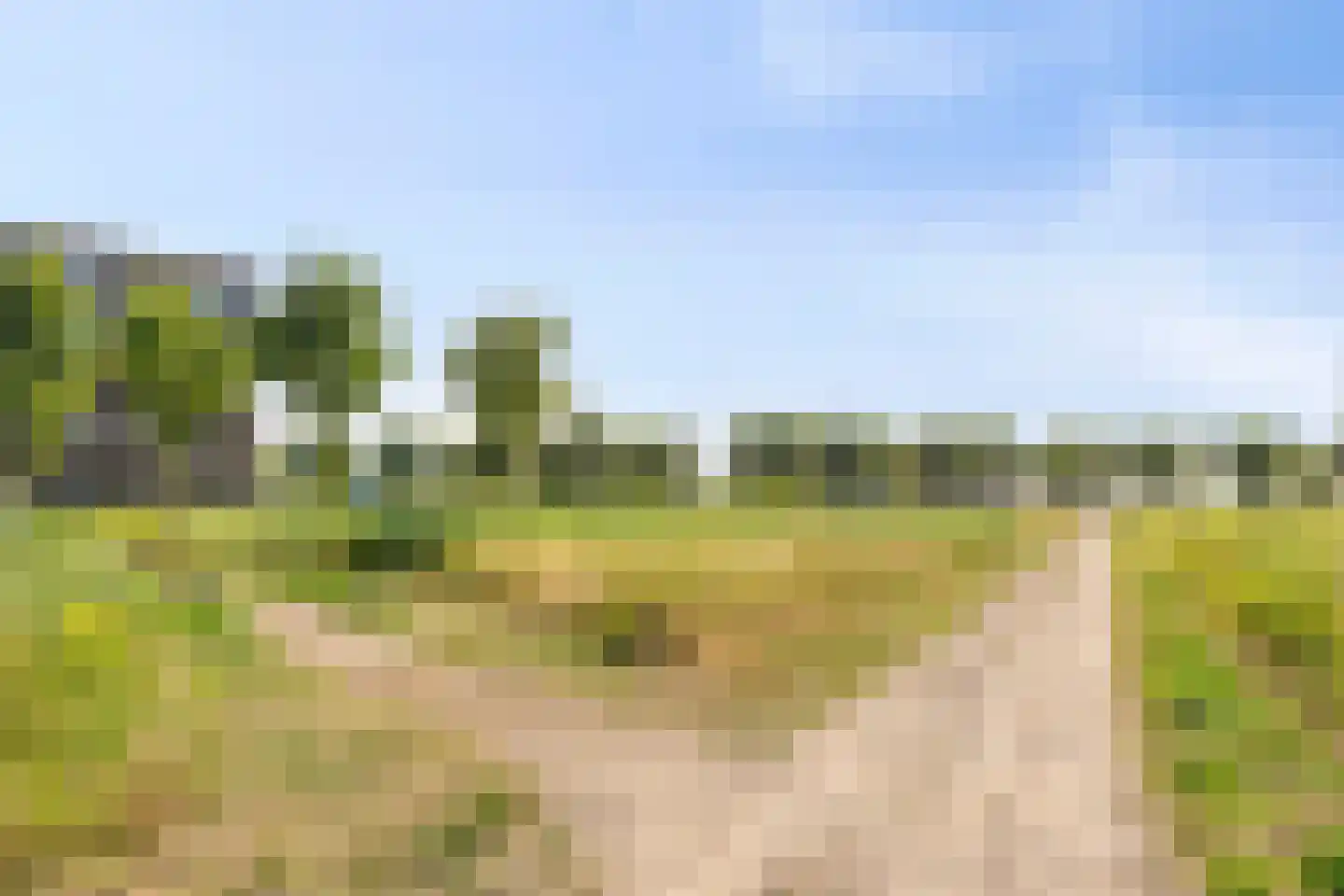 Vlietdijk 254 Rosmalen thumbnail 26