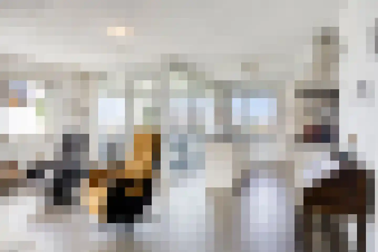 Vlietdijk 254 Rosmalen thumbnail 6