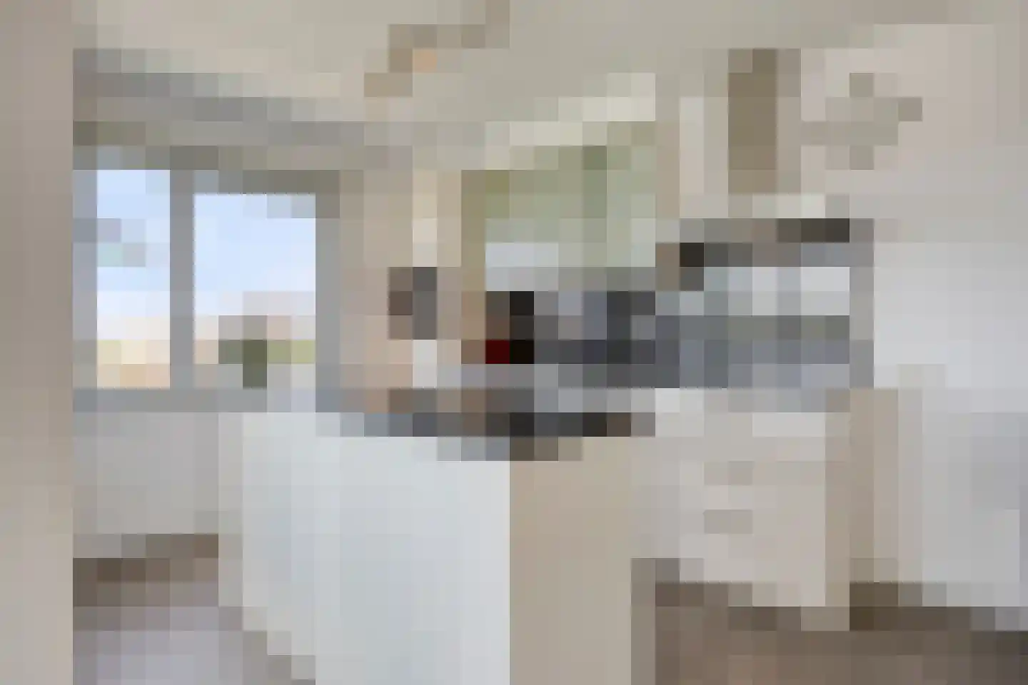 Vlietdijk 254 Rosmalen thumbnail 8