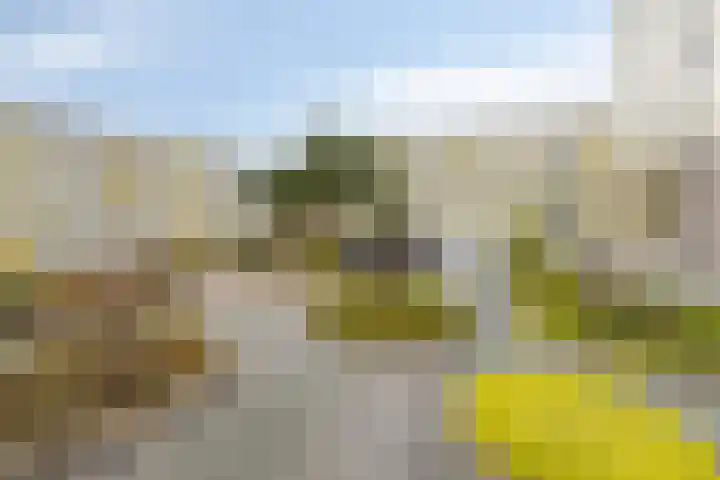 Vlietdijk 46 Rosmalen thumbnail 22