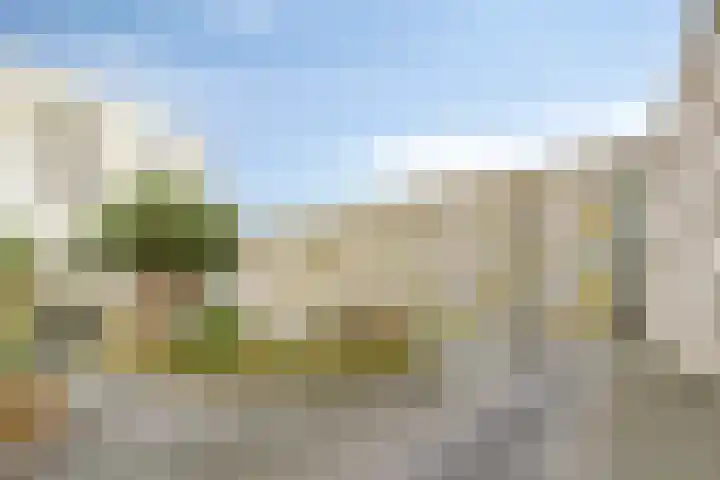 Vlietdijk 46 Rosmalen thumbnail 23